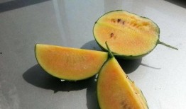 彩虹吃瓜的其他网红叫什么,盘点那些与彩虹吃瓜齐名的热门网红