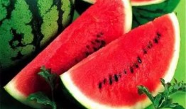 西藏网红新瓜最新爆料,揭秘幕后真相，带你走进神秘网红世界