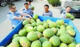 盐山网红吃瓜群微信,揭秘网络红人的幕后故事